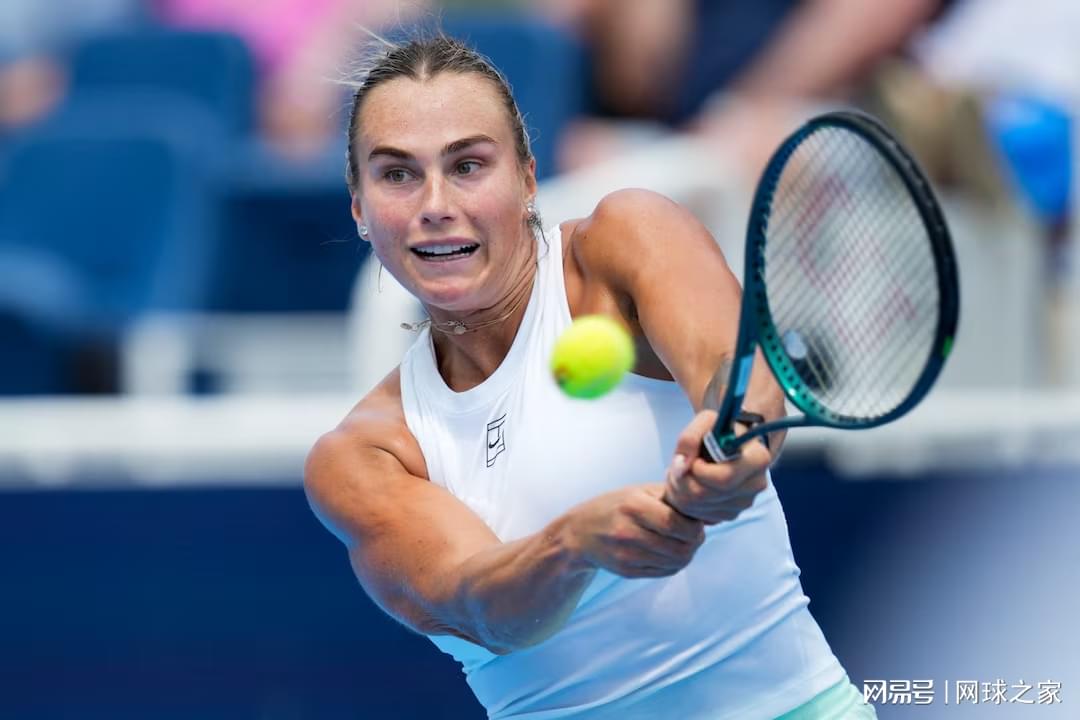 划在纽约参 划在纽约参