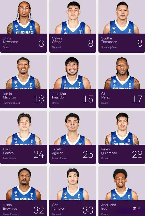 岁纽森, 洲杯征程 岁纽森, 洲杯征程