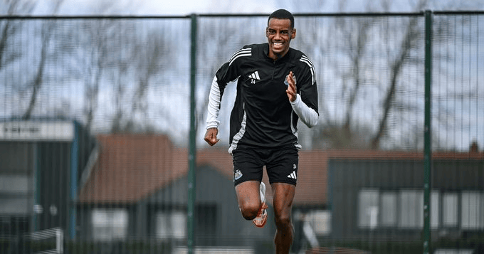 img, 鹊的最新人 img, 鹊的最新人