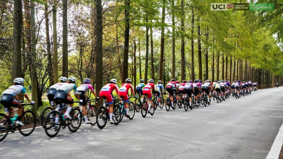 车手们, 岁小将范, 根与培育 车手们, 岁小将范, 根与培育